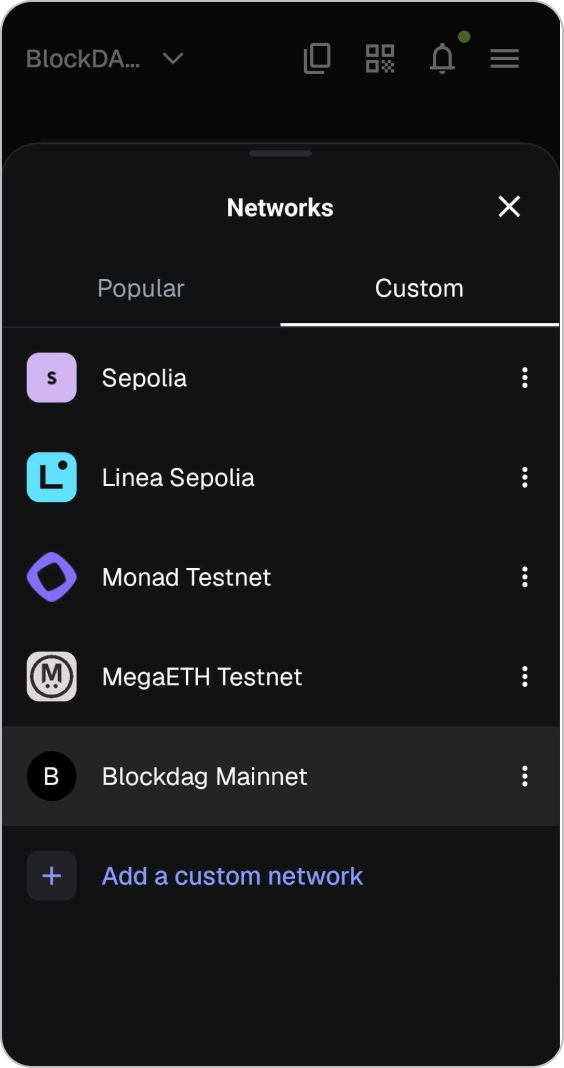 Step 10 - Blockdag Mainnet Loaded