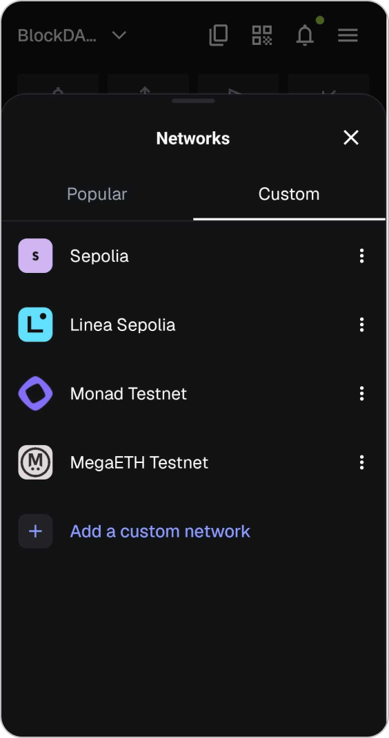 Step 2 - Add Custom Network