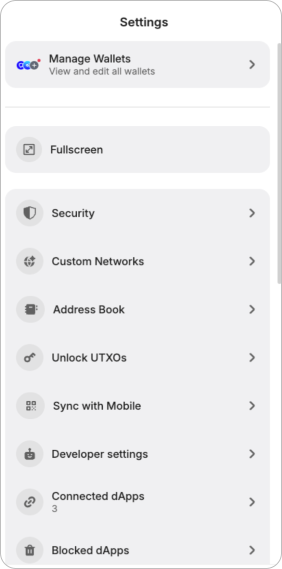 Step 3 - Tap Custom Network